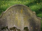 image of grave number 829733